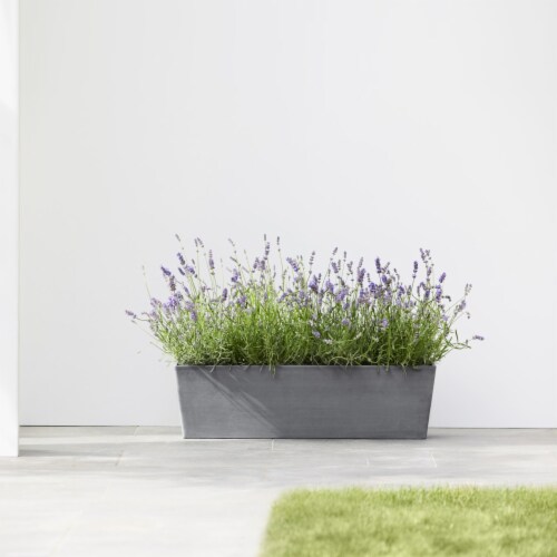 Ecopots Modern Recycled Bruges Plastic Indoor Outdoor Rectangular