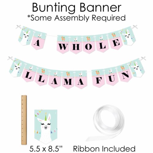 Big Dot Of Happiness Whole Llama Fun Decor Llama Fiesta Party Supplies