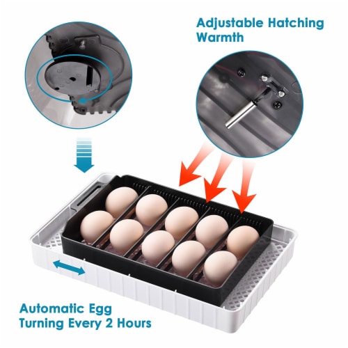 12 Eggs Fully Automatic Incubator Digital Poultry Hatcher Egg Turning