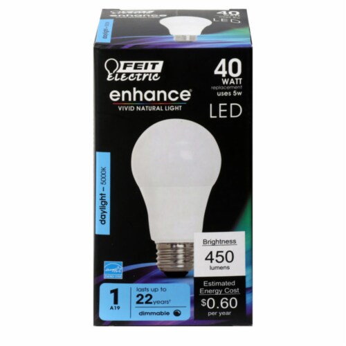 Feit Electric Ehnance A E Medium Led Bulb Daylight Watt