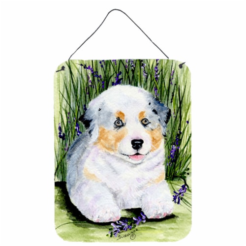 Carolines Treasures SS8005DS1216 Australian Shepherd Wall Or Door