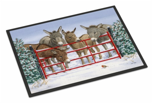 Carolines Treasures ASA2198MAT Donkeys And Robin Doormat 18x27 18Hx27W