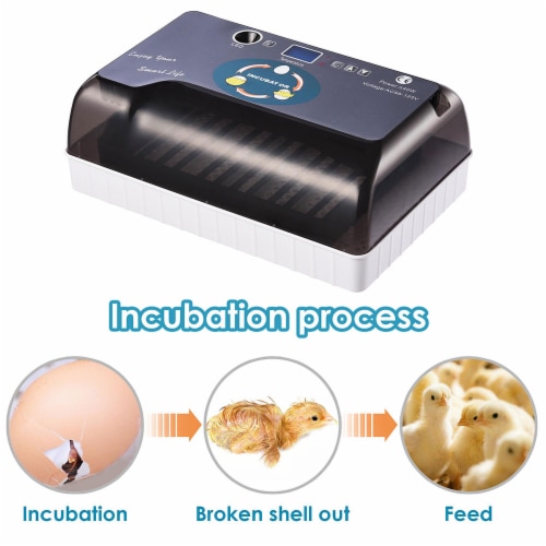 Eggs Fully Automatic Incubator Digital Poultry Hatcher Egg Turning