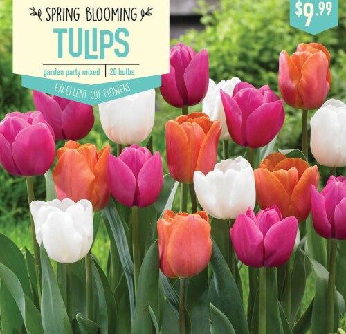 Garden State Bulb Tulip Garden Party Mixed Bulbs Count Ct