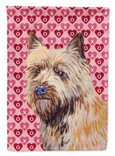 Cairn Terrier Hearts Love And Valentine S Day Portrait Garden Flag