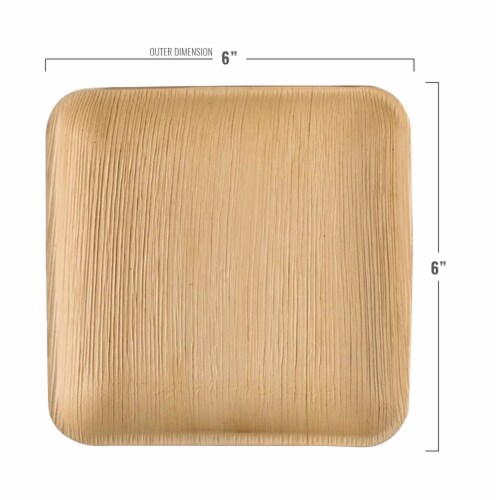 Square Palm Leaf Eco Friendly Disposable Appetizer Salad Plates 6