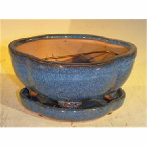 Bonsai Boy L217 6 37 X 4 75 X 2 625 In Ceramic Bonsai Pot Blue