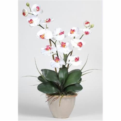 Nearly Natural 1026 WH Double Stem Phalaenopsis Silk Orchid Arrangement