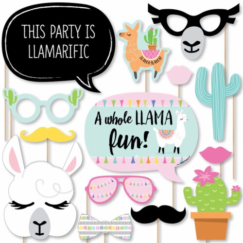 Big Dot Of Happiness Whole Llama Fun Fiesta Baby Shower Or Birthday