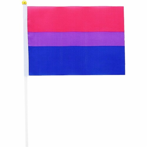 Transgender Bisexual Pansexual Gay Pride Handheld Stick Flags Lgbtq