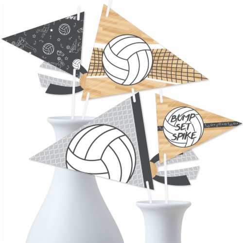 Big Dot Of Happiness Bump Set Spike Volleyball Party Pennant Flag